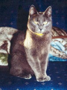 terk